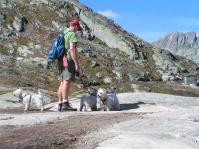 Klik op de foto voor groter formaat